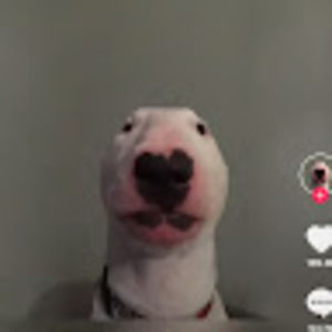 Meet your Posher, Jacob